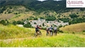 Photo numero 46886017 du bien UBI466380575